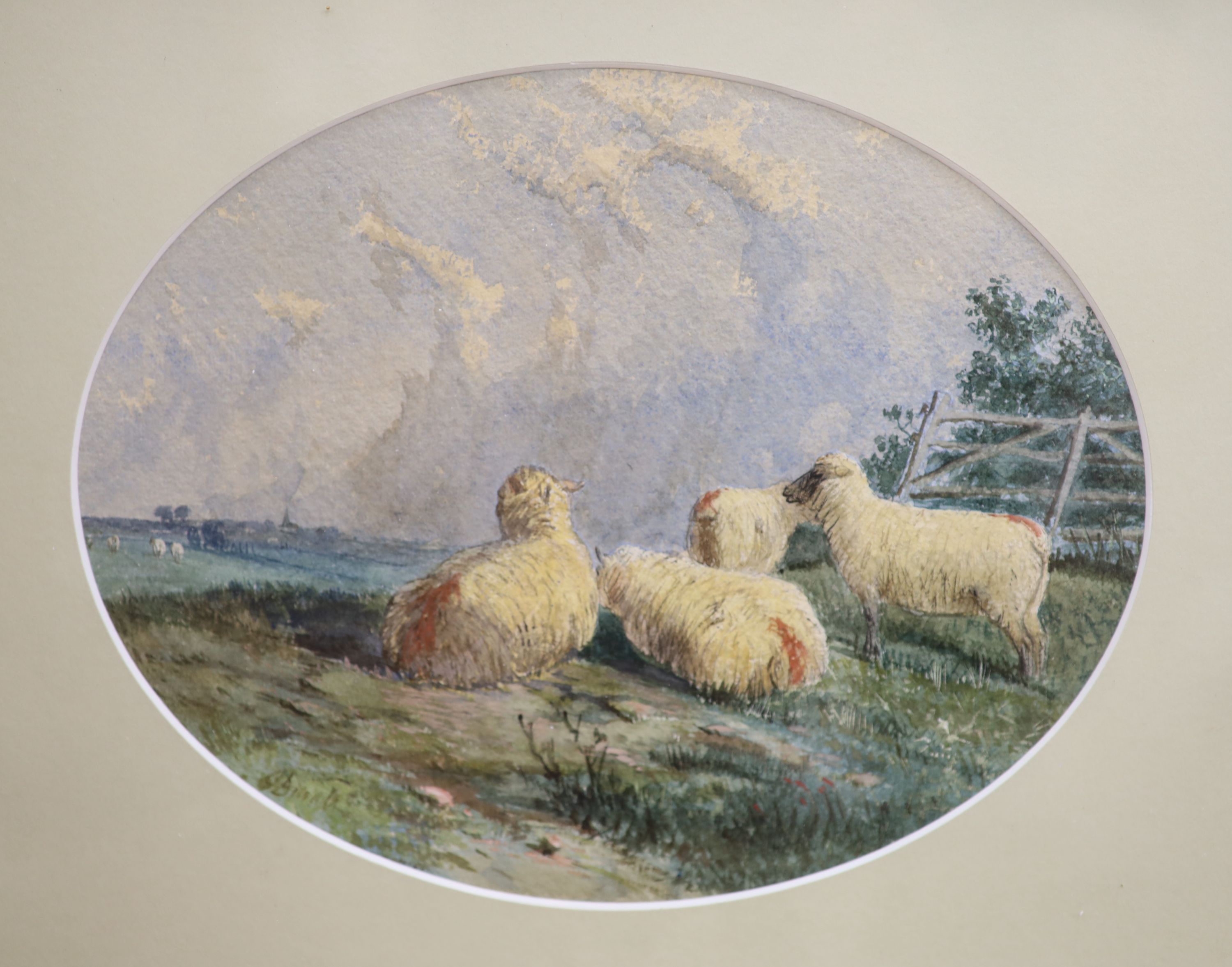J.D. (19thC), pair of watercolours, Studies of sheep, indistinctly signed, 19 x 24cm
